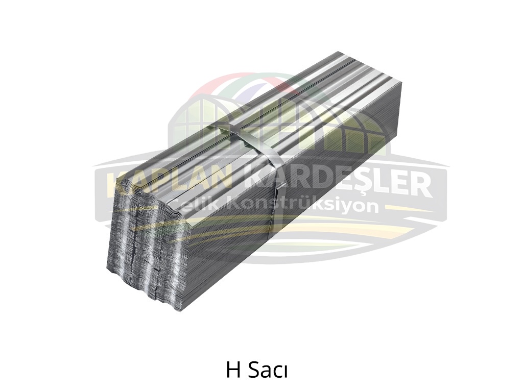 H Saci